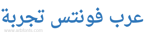 Droid Arabic Naskh Bold 