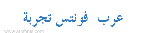 Traditional Arabic Bold  
